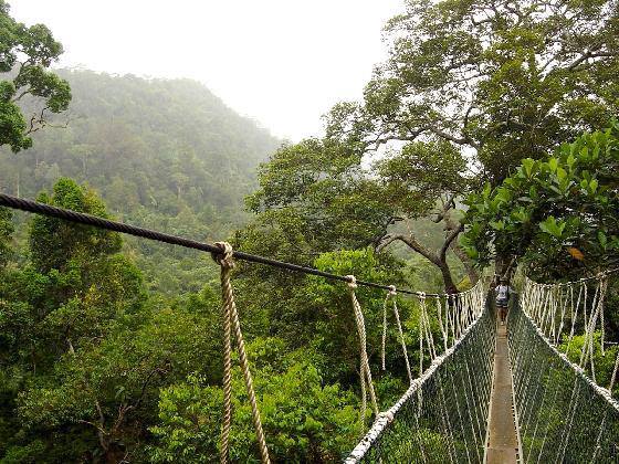 Malaysia National Park